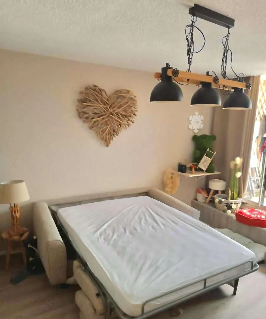 Chaleureux Studio Glovettes Villard De Lans 0*, 维拉尔-德朗